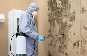 Best Mold Documentation for Insurance Claims  in Columbia City, OR